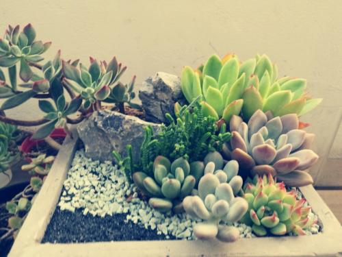 һܲƾ:ծȯͨƿɴ йڿһ